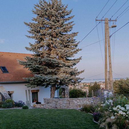 Panorama Vine House Lägenhet Balatonfüred Exteriör bild